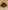 boucle ceinture  RONDE GUNS N ROSES jaune  NOIR
